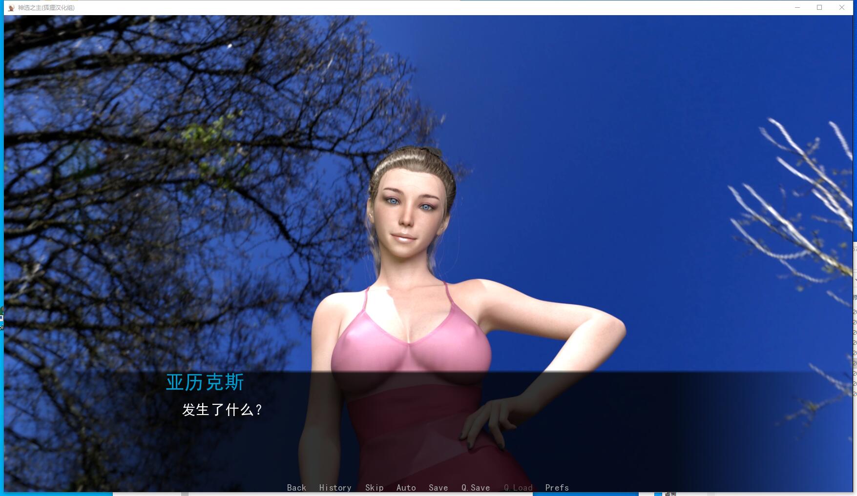 神选之主 Lunars Chosen V1.4【PC+安卓】汉化硬盘版【1067】
